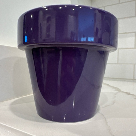 Disney Parks Epcot International Flower & Garden Festival Planter Pot 2016 WDW - Picture 5 of 8